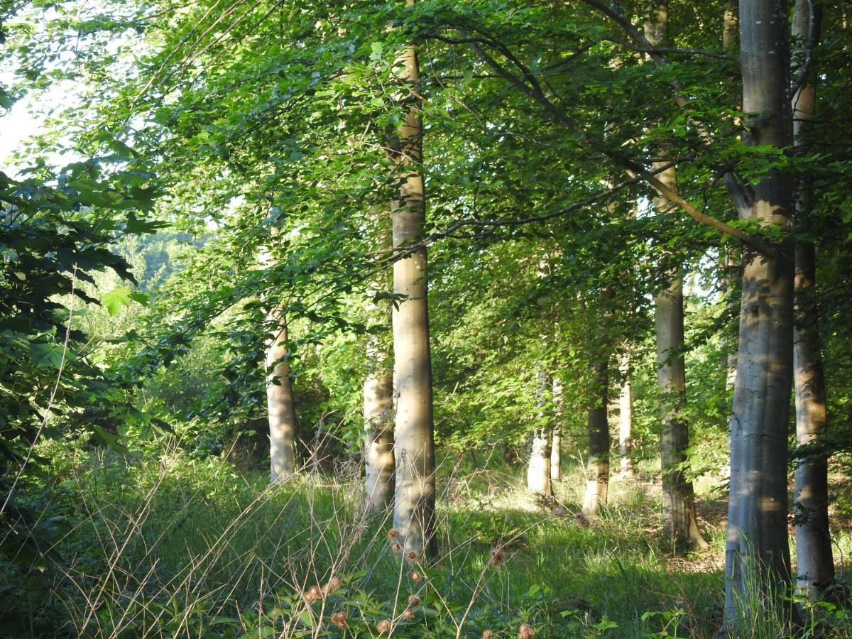 Aa Strand Camping Ebberup Extérieur photo
